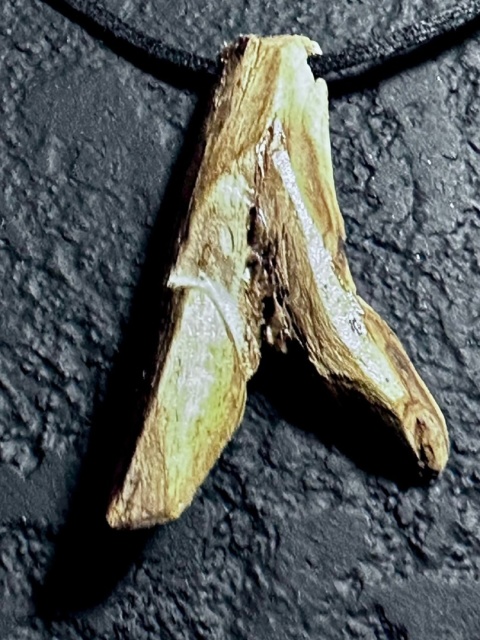 Wisiorek Siła natury