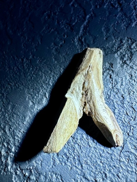 Wisiorek Siła natury