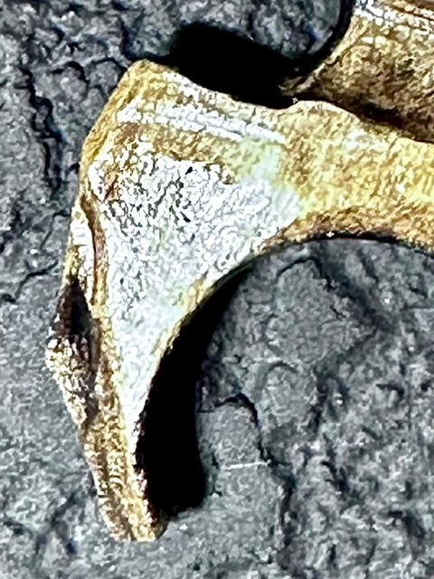 Wisiorek księżycowy łuk