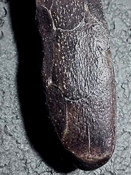 Wisiorek Rdzeń Serca